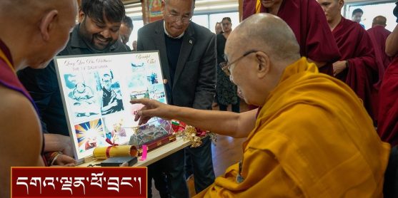 ཕྱི་རྒྱལ་ཡུལ་གྲུ་འདྲ་མིན་ནས་ཕེབས་པའི་བོད་རིགས་སོགས་ཕྱོགས་འགྲུལ་བ་རྣམས་ལ་མཇལ་ཁ་སྩལ་བ།