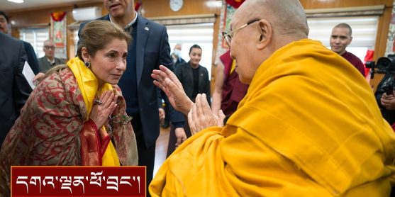 དད་ལྡན་ཕྱོགས་འགྲུལ་བ་ ༣༤༠ སྐོར་ལ་མཇལ་ཁ་སྩལ་བ།