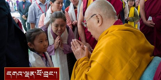 ལམ་སྒྲོན་ཚོགས་པའི་ཚོགས་མི་སོགས་ལ་མཇལ་ཁ་སྩལ་བ།