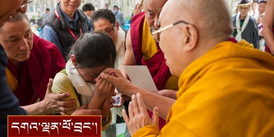 མཐོ་སློབ་འགྲིམ་བཞིན་པའི་བོད་རིགས་ན་གཞོན་དང་། ལྕོག་ལམ་གསར་གྱི་བརྒྱ་ཤོག་ལྔ་པའི་གཞིས་མི་སོགས་ལ་མཇལ་ཁ།