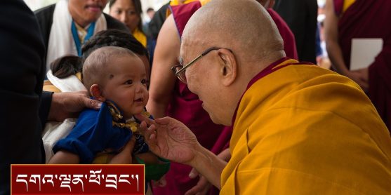 ལྕོག་ལམ་གསར་གྱི་བརྒྱ་ཤོག་བརྒྱད་པའི་གཞིས་མི་དང་། ཕྱི་རྒྱལ་བ་སོགས་ལ་མཇལ་ཁ།