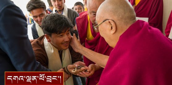ཕྱི་རྒྱལ་ཡུལ་གྲུ་འདྲ་མིན་ནས་ཕེབས་པའི་བོད་རིགས་དང་། ལ་དྭགས་ཀྱི་བགྲེས་སོང་དང་ནད་པ་སོགས་ལ་མཇལ་ཁ།