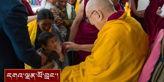 བསོད་ནམས་གླིང་གི་བརྒྱ་ཤོག་གསུམ་པ་དང་བཞི་པའི་གཞིས་མི་དང་། བལ་བོད་ས་མཚམས་ནས་ཕེབས་པ་སོགས་ལ་མཇལ་ཁ།
