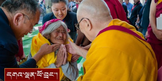 བསོད་ནམས་གླིང་གི་མཛད་གཙོ་དང་། དགུང་ལོ་ ༨༥ ཡན་གྱི་བགྲེས་སོང་སོགས་ལ་མཇལ་ཁ།