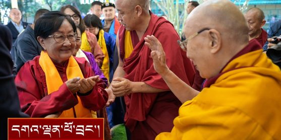 སོག་རིགས་གཙོ་བོར་གྱུར་པའི་དད་ལྡན་མཇལ་བཅར་བ་ ༣༥༠ ལྷག་ལ་མཇལ་ཁ།