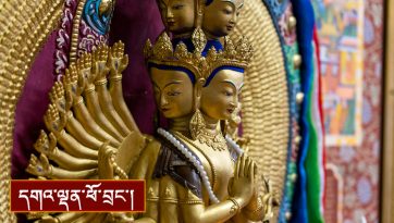 ཐུགས་རྗེ་ཆེན་པོའི་དབང་དང་། སྤྱན་རས་གཟིགས་སེངྒེ་སྒྲའི་རྗེས་གནང་།